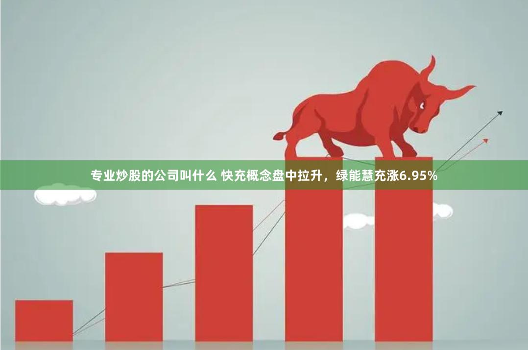 专业炒股的公司叫什么 快充概念盘中拉升，绿能慧充涨6.95%