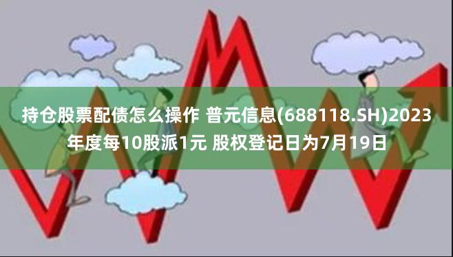 持仓股票配债怎么操作 普元信息(688118.SH)2023年度每10股派1元 股权登记日为7月19日