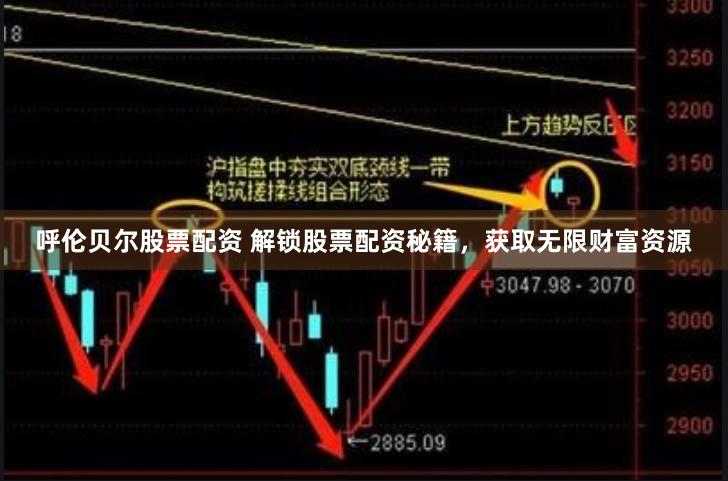 呼伦贝尔股票配资 解锁股票配资秘籍，获取无限财富资源
